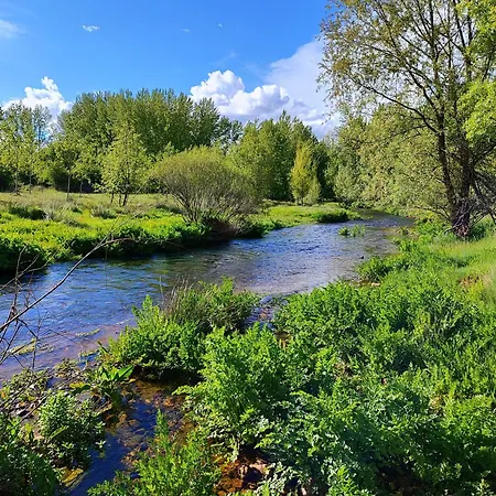 La Alborada Medieval דירה Ayllón